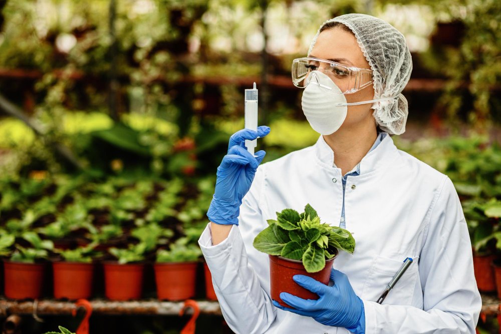 Scientist testing plant sample in a greenhouse laboratory.