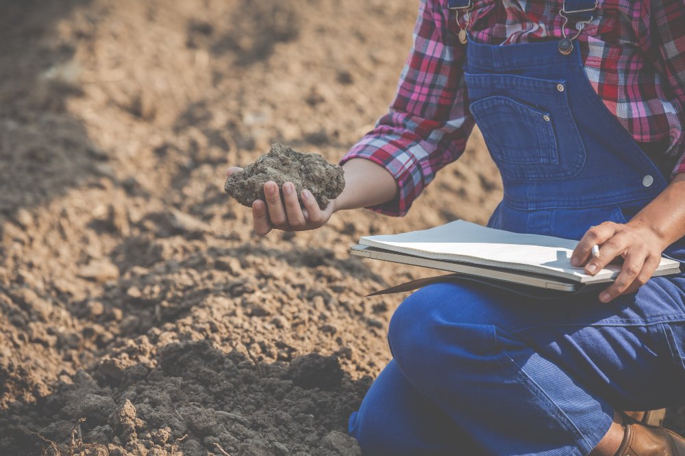 Scientist examining soil sample in agricultural field