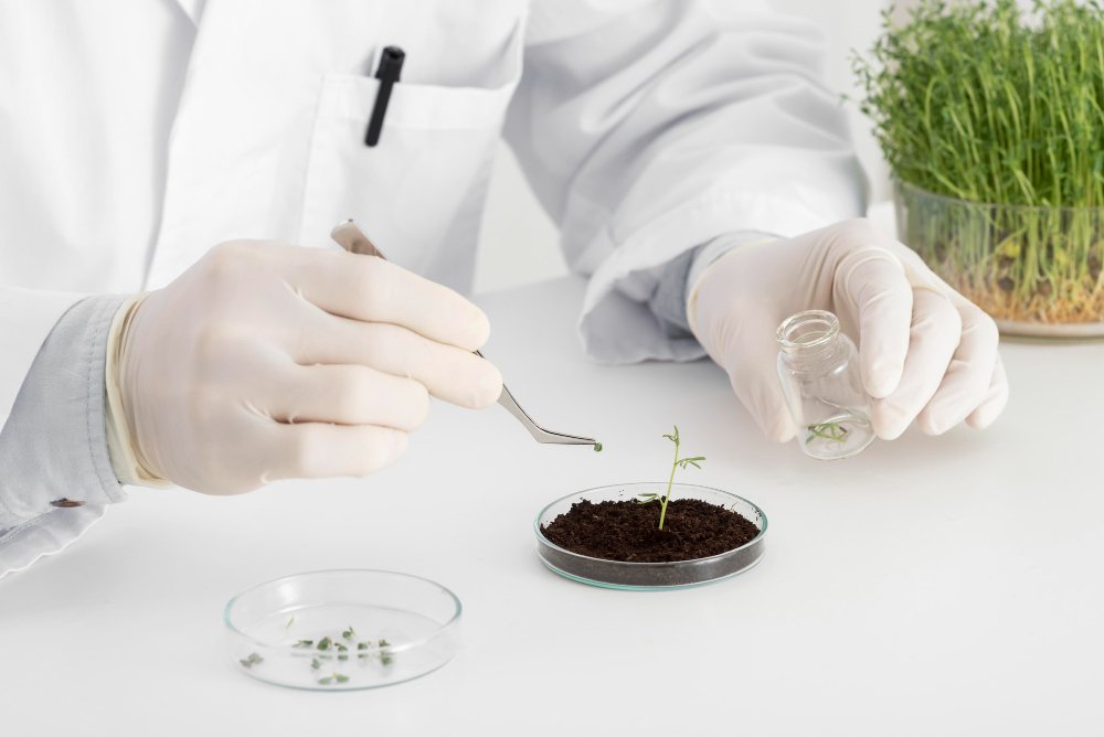 Fertilizer quality inspection in a modern laboratory.