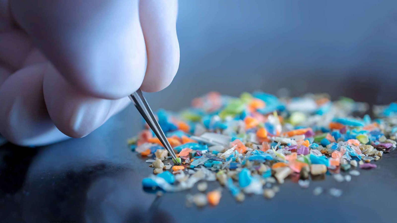 Microplastics in Food