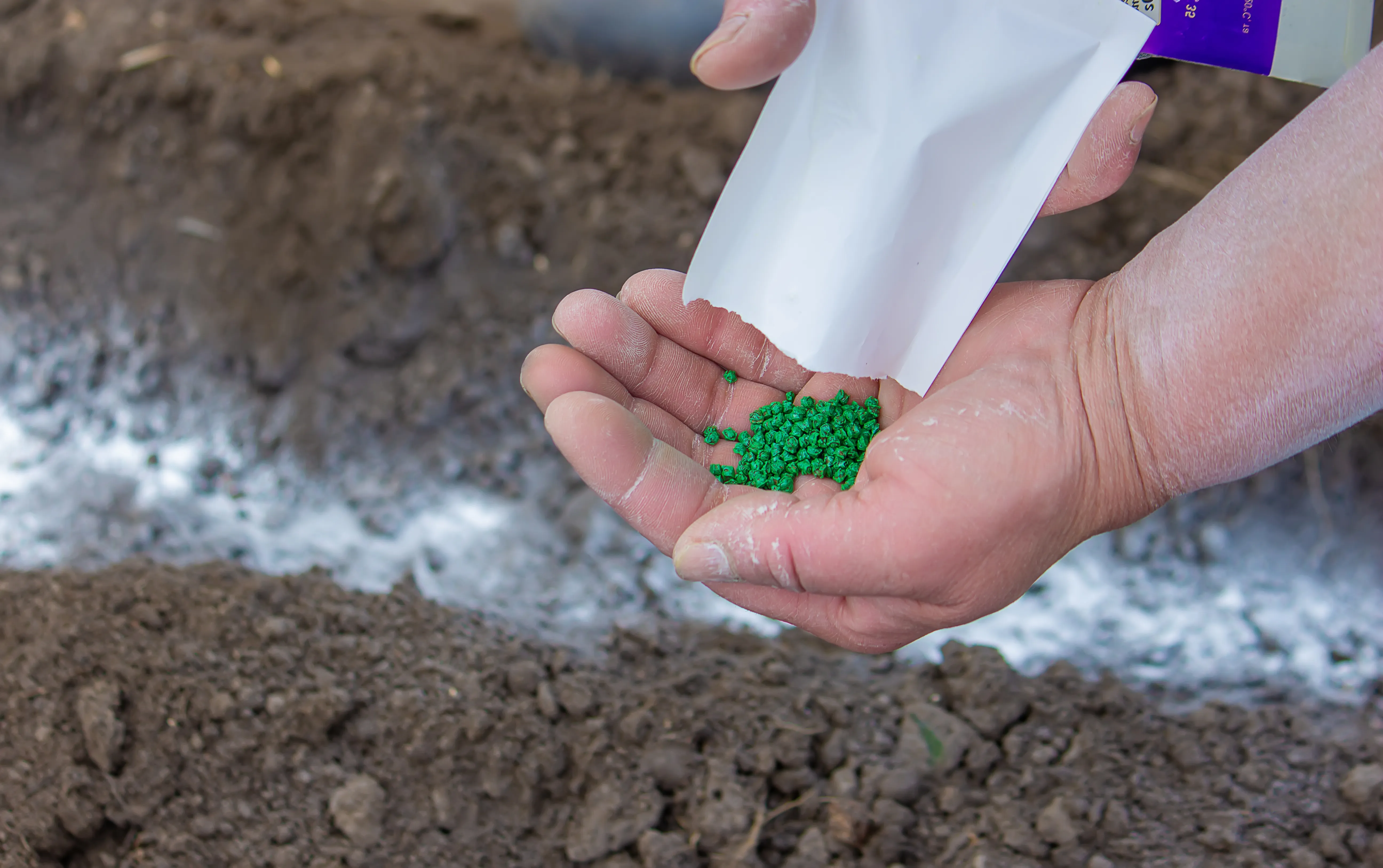 testing fertilizer near soil