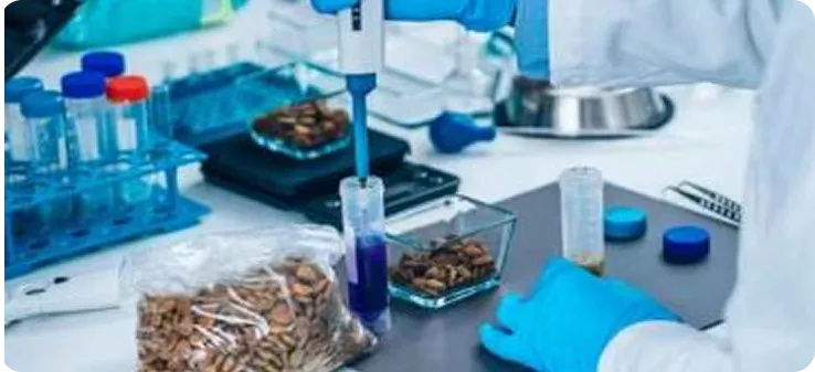 testing food in laboratory