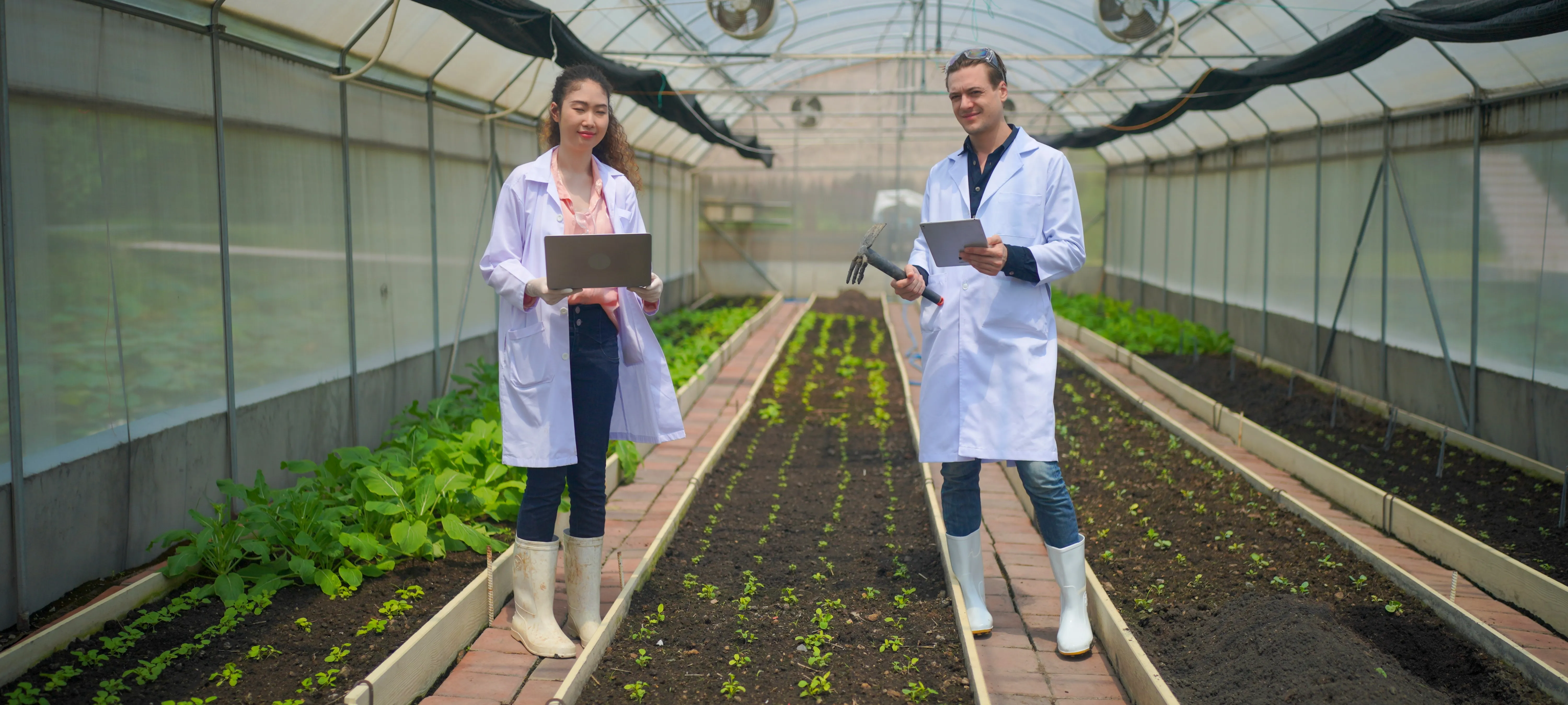 two scientists testing in greenhouse