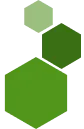 Hexagonical Icon Right