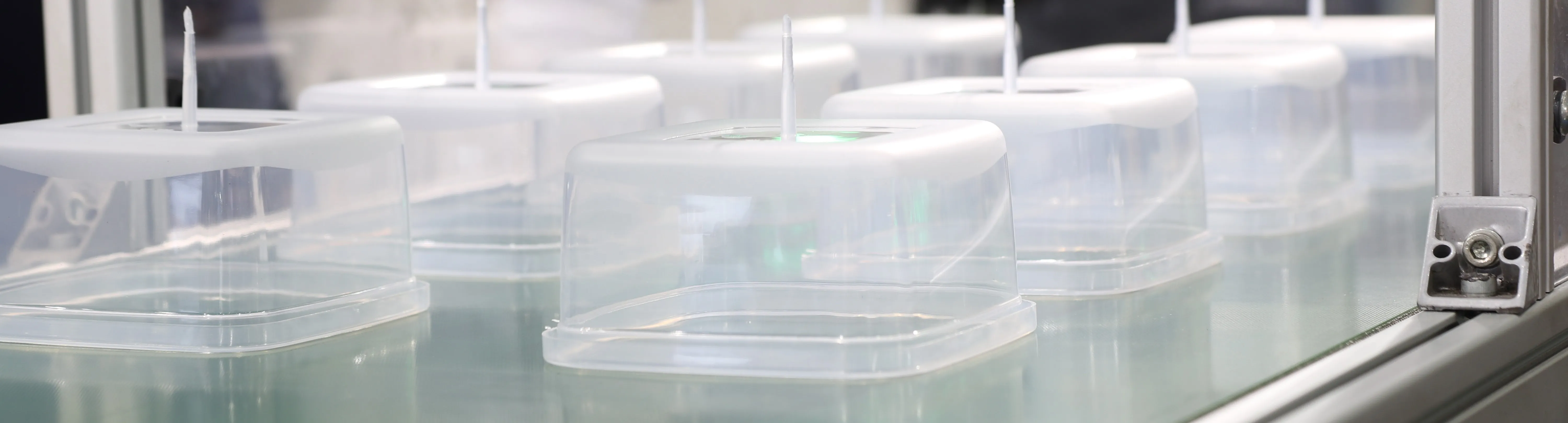 containers in laboratory