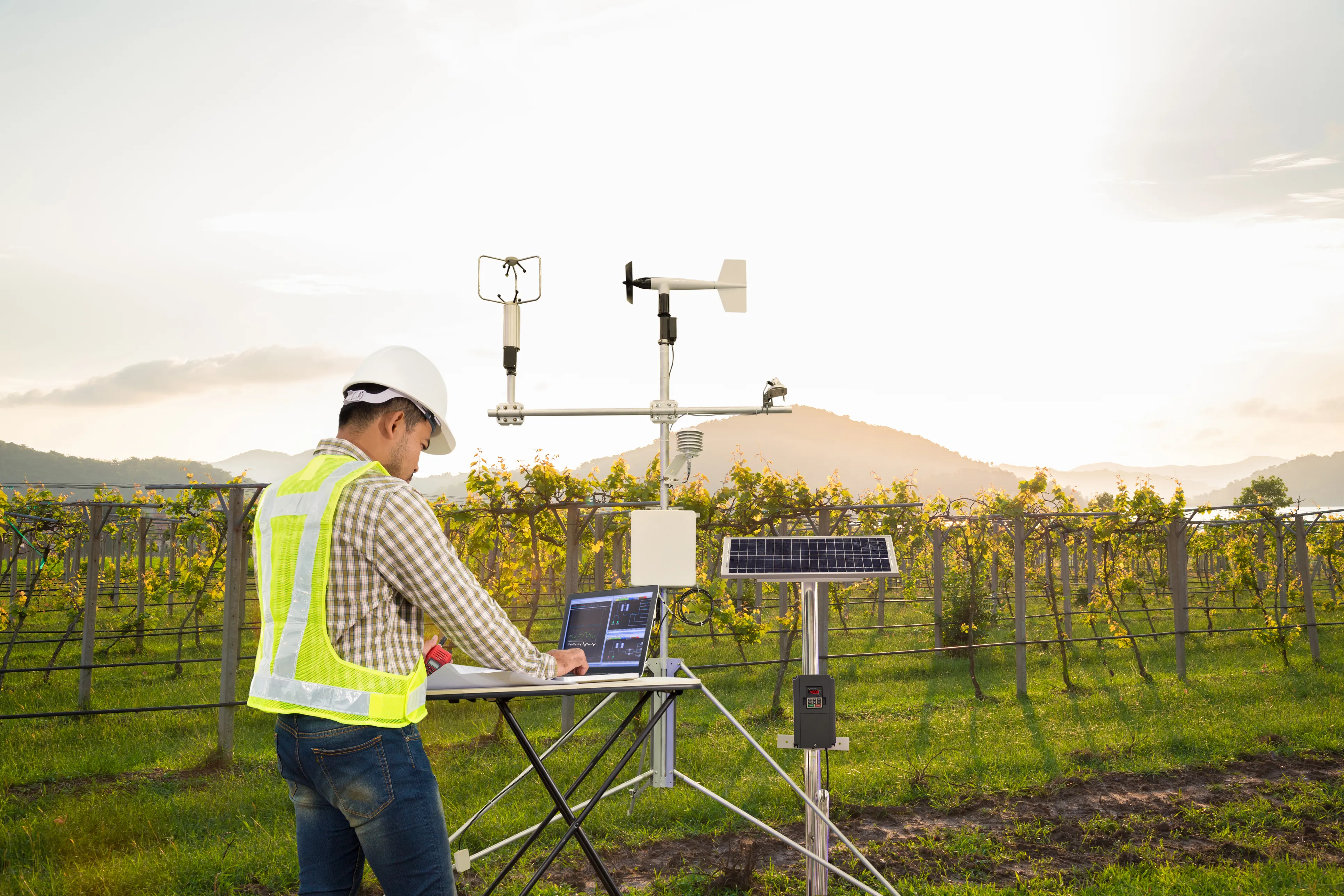 person monitroing field