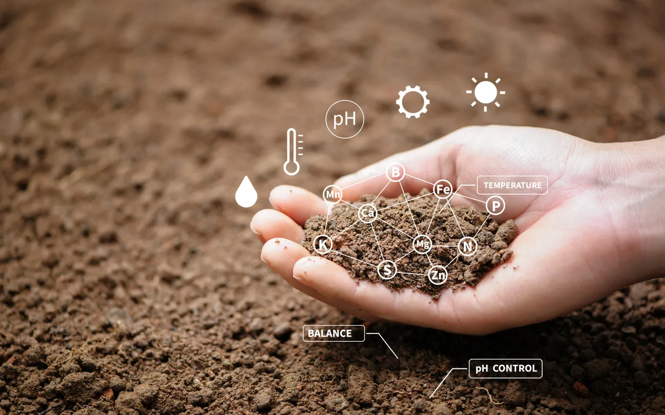 breakdown of soil components