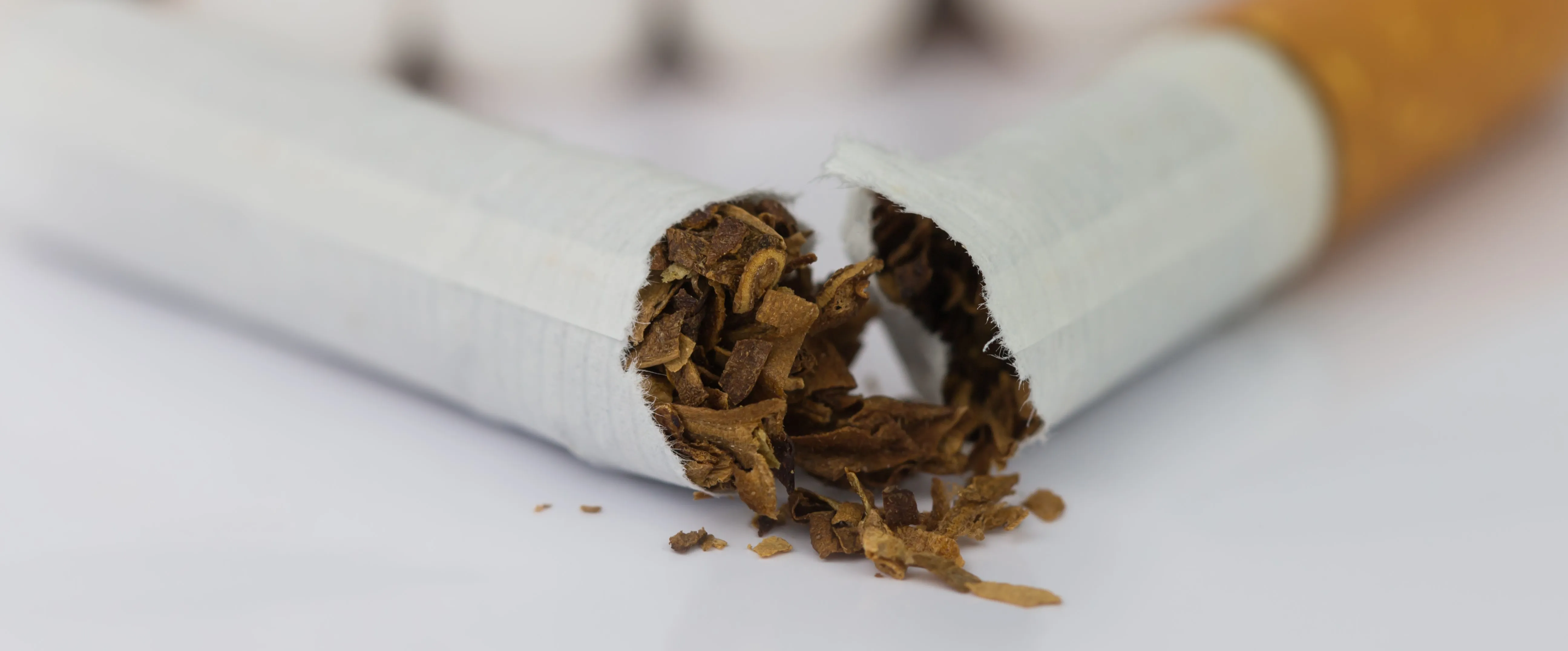 tobacco spilling from a broken cigarette on a white surface