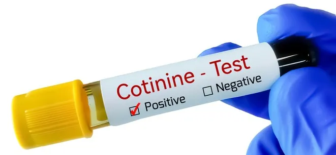 gloved hand holding positive cotinine test