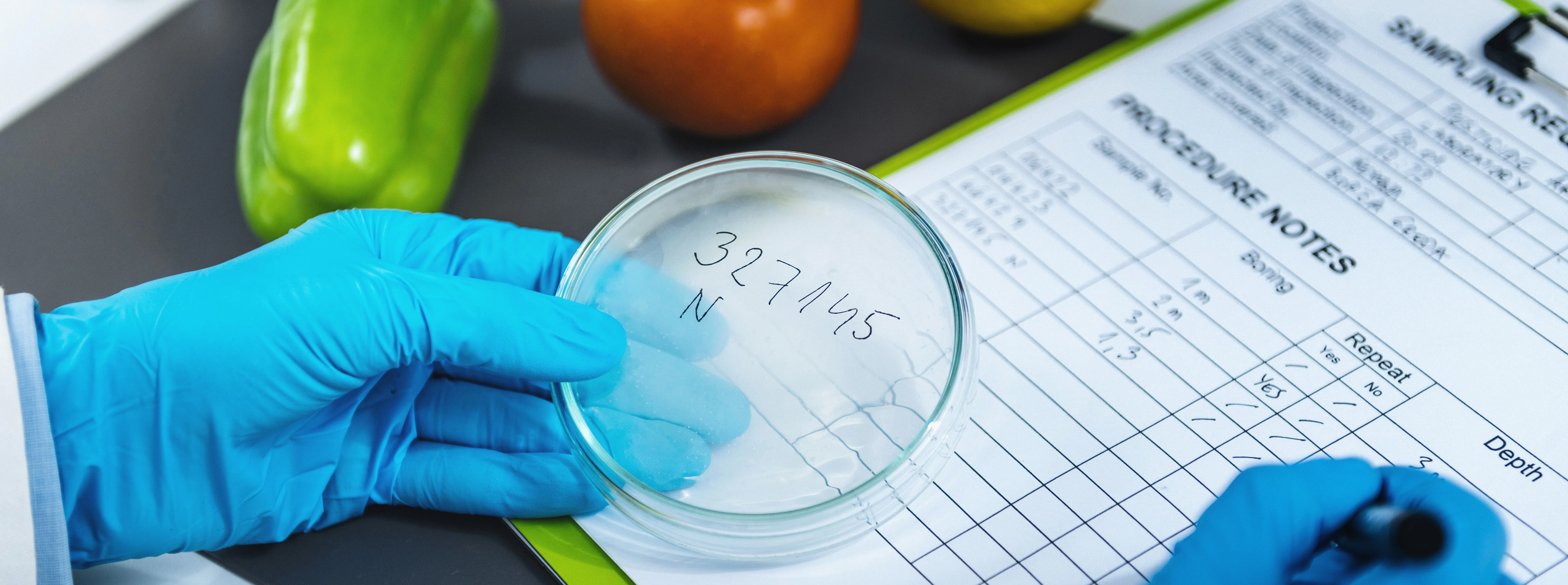 scientist taking notes of food testing