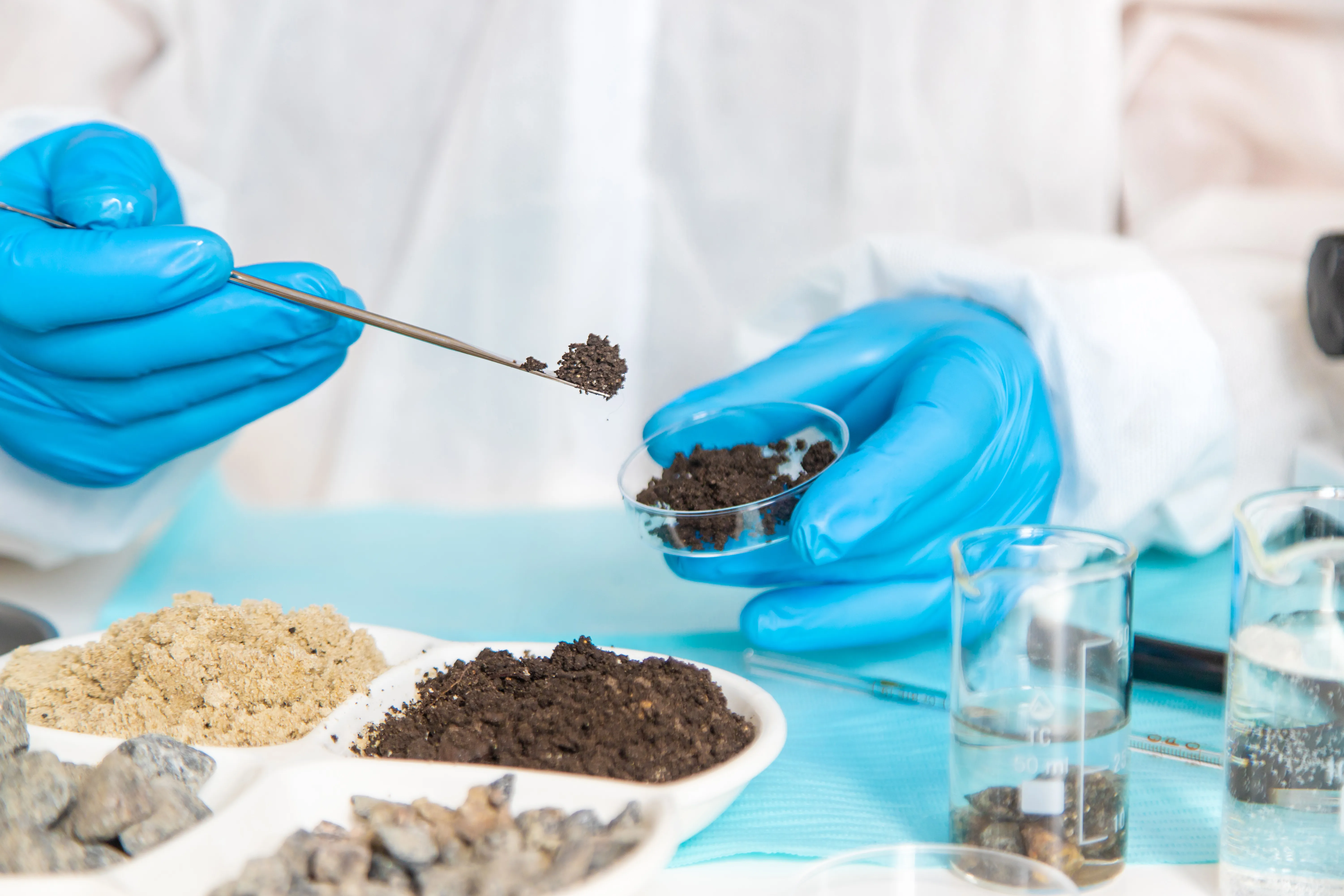 scientist testing soil in lab