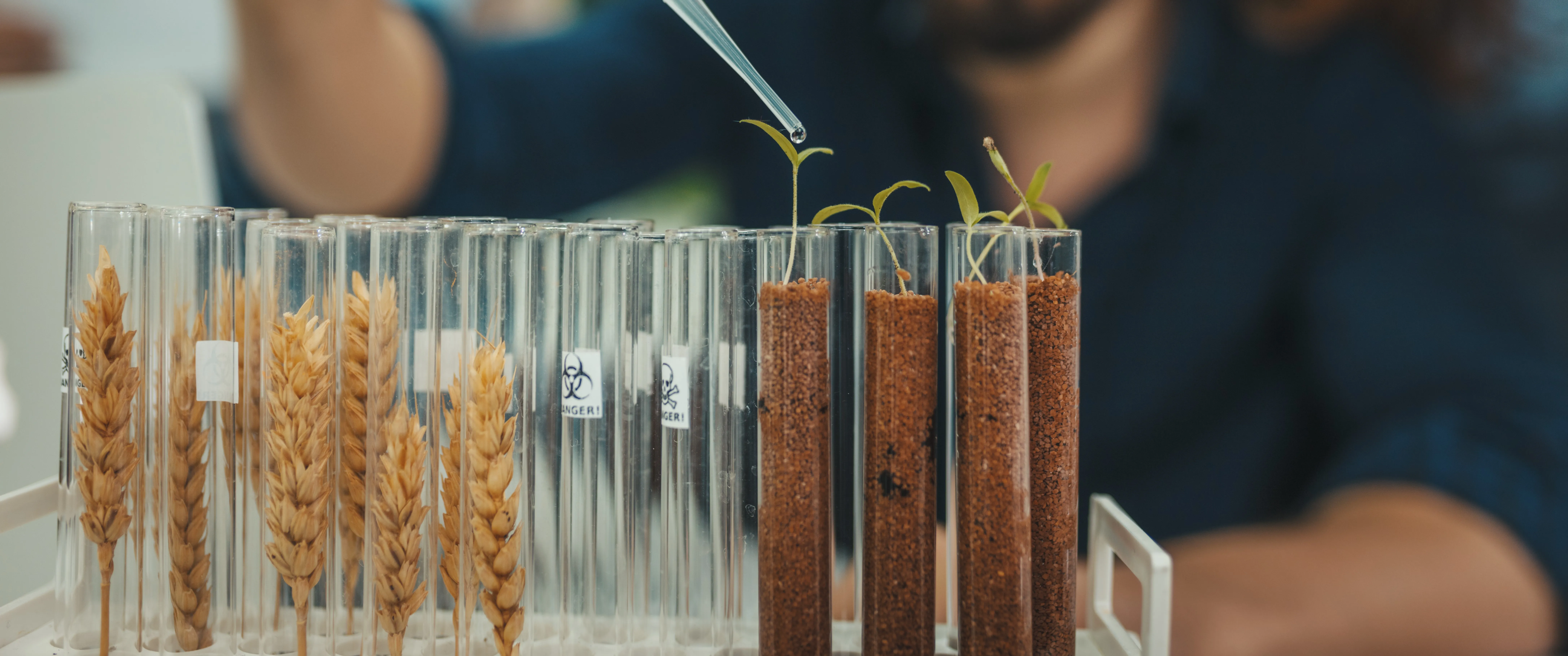 testing soil in testtube